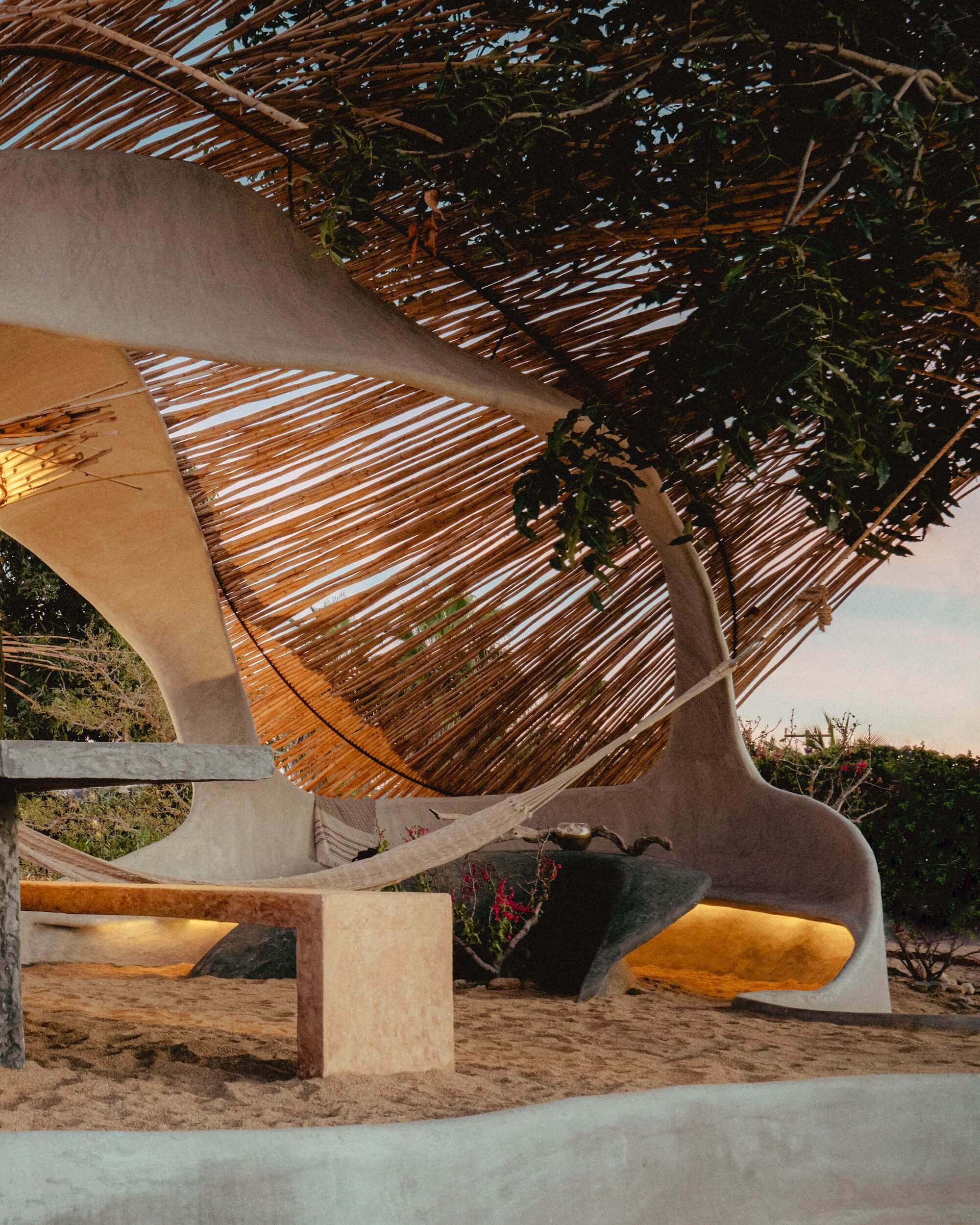 desert organic house surrounded with cactus plants